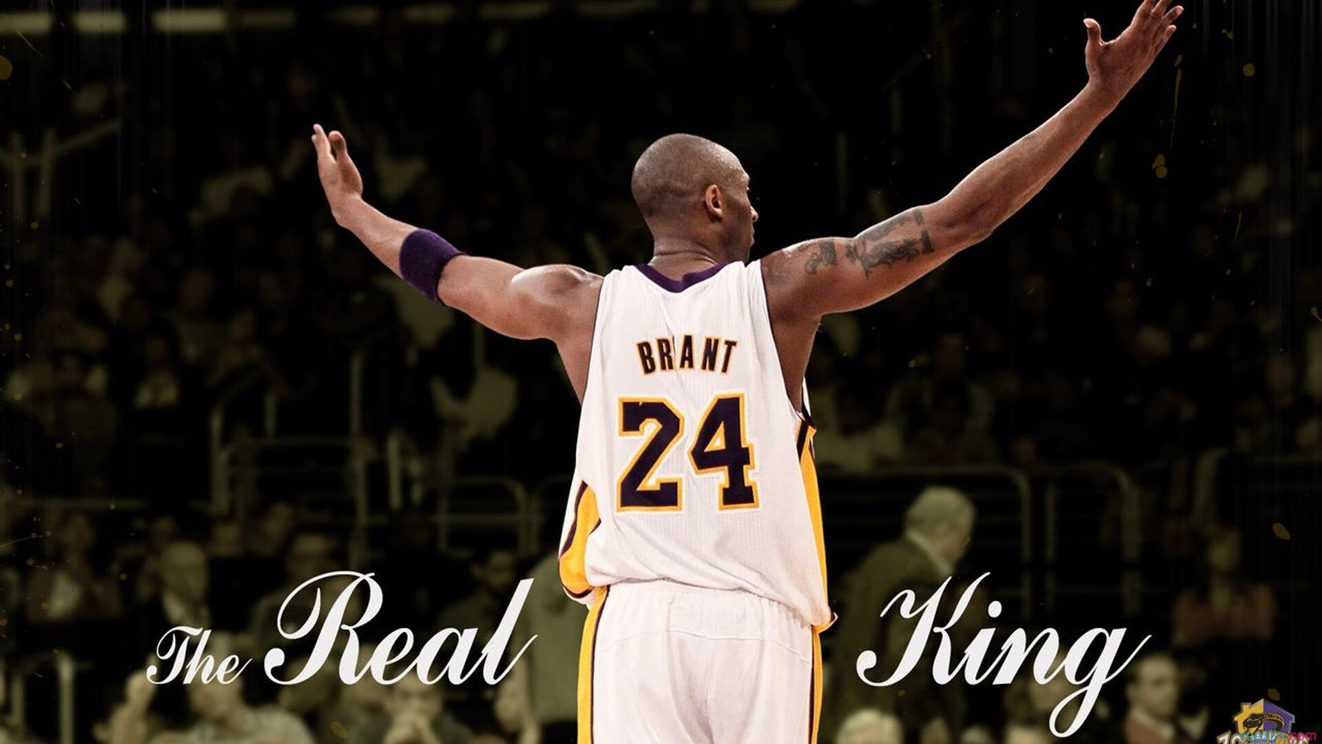 快船客场惨败猛龙,赢得重要一战,快船对猛龙录像回放