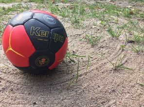 kaiyun官方入口登录-全国老年人健身球操赛展银发激情，老年健身球类